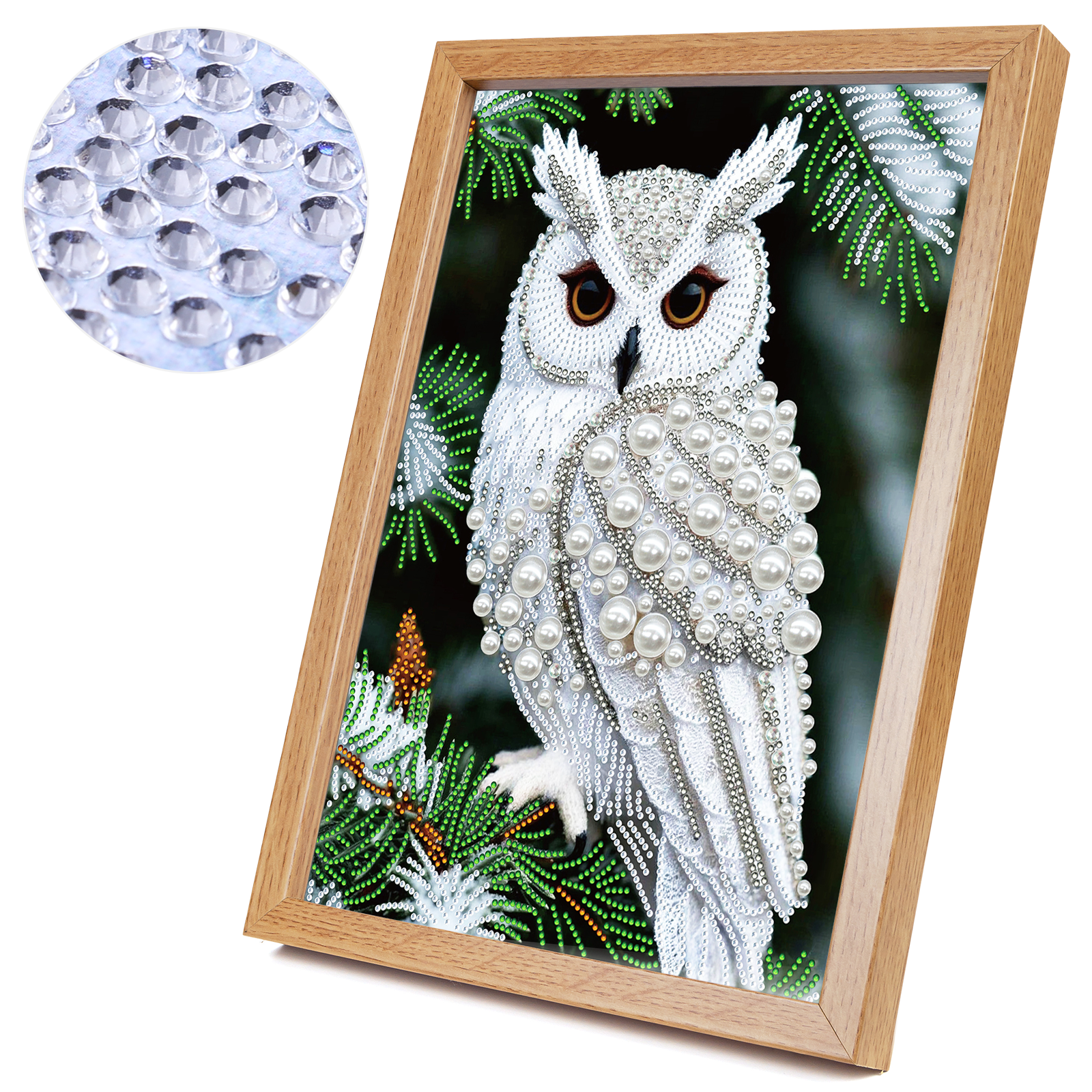 Resin Art Diy - Owl Special Shaped 5D DIY Partial