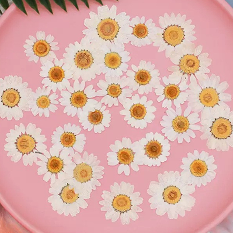 Resin Art Phone Case - 100Pcs Natural White Crystal Chrysanthemum Daisy