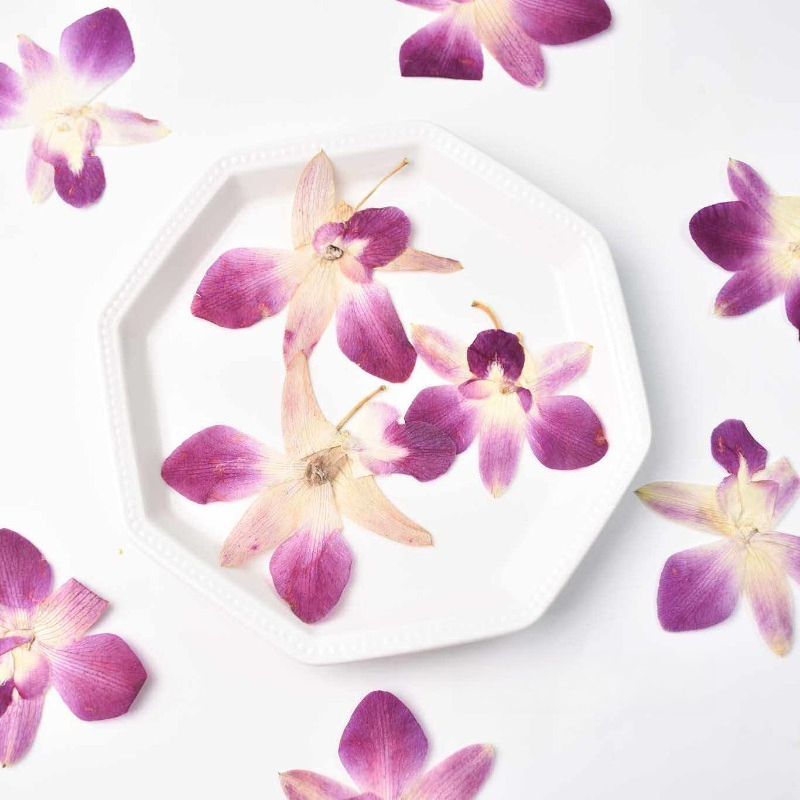 Resin Art Frame - 4pcs,Real Pressed Butterfly Orchid Flowers DIY