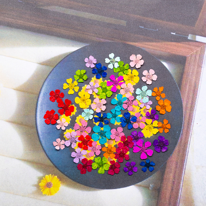 Resin Art Frame - 96Pcs Mini 1.5cm Natural Pressed Flowers