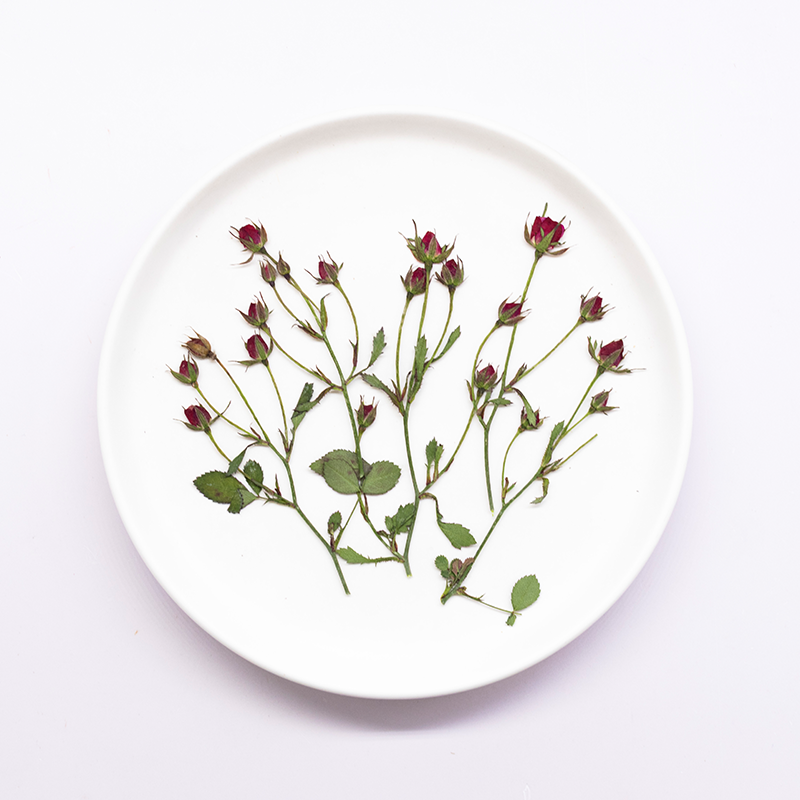Resin Art Rose - 12pcs,Dried Rose Multi Bud Branches Pressed