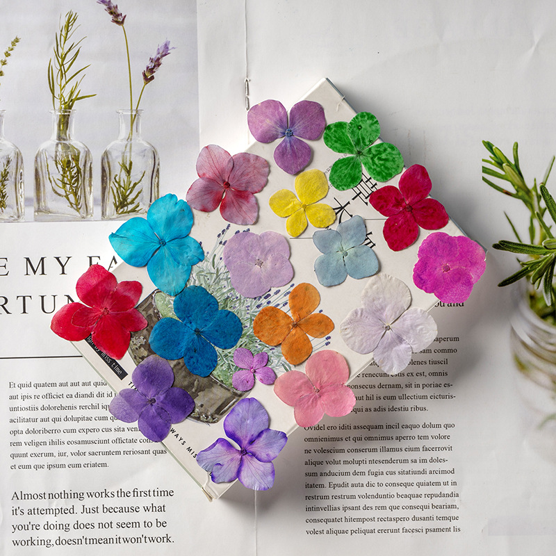 60Pcs Anna Hydrangea Color-Abs - Resin Art Frame ulasan dan harga