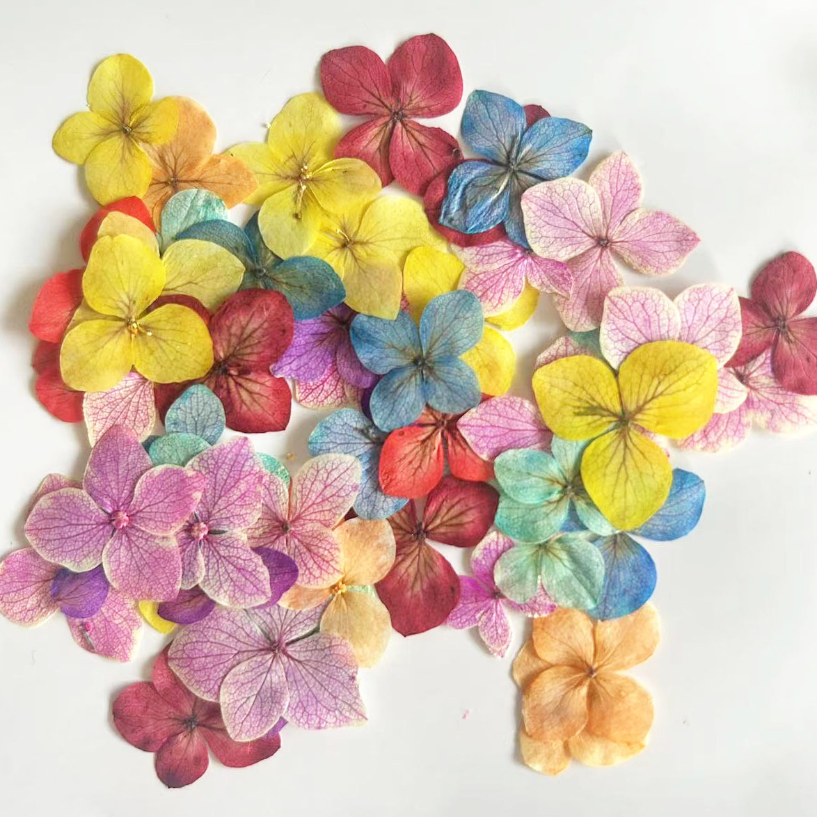 60Pcs Anna Hydrangea Color-Abs - Resin Art Frame ulasan dan harga