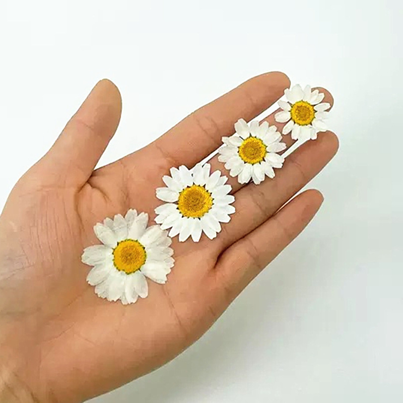 100Pcs Natural White Crystal C - Resin Art Phone Case ulasan dan harga