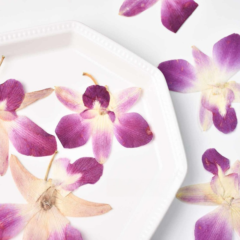 4pcs,Real Pressed Butterfly Or - Resin Art Frame ulasan dan harga