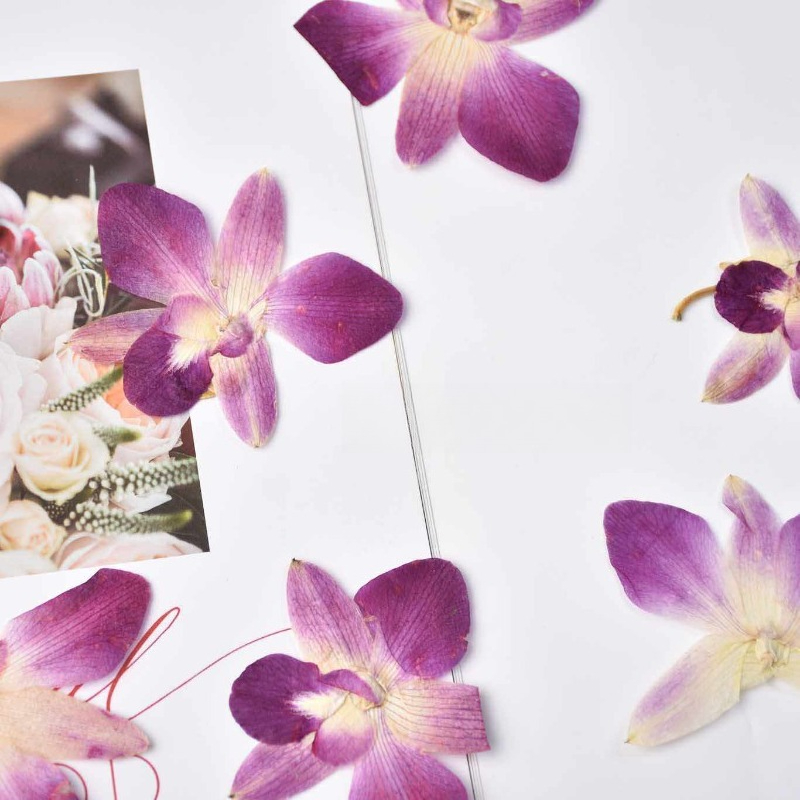 4pcs,Real Pressed Butterfly Or - Resin Art Frame ulasan dan harga
