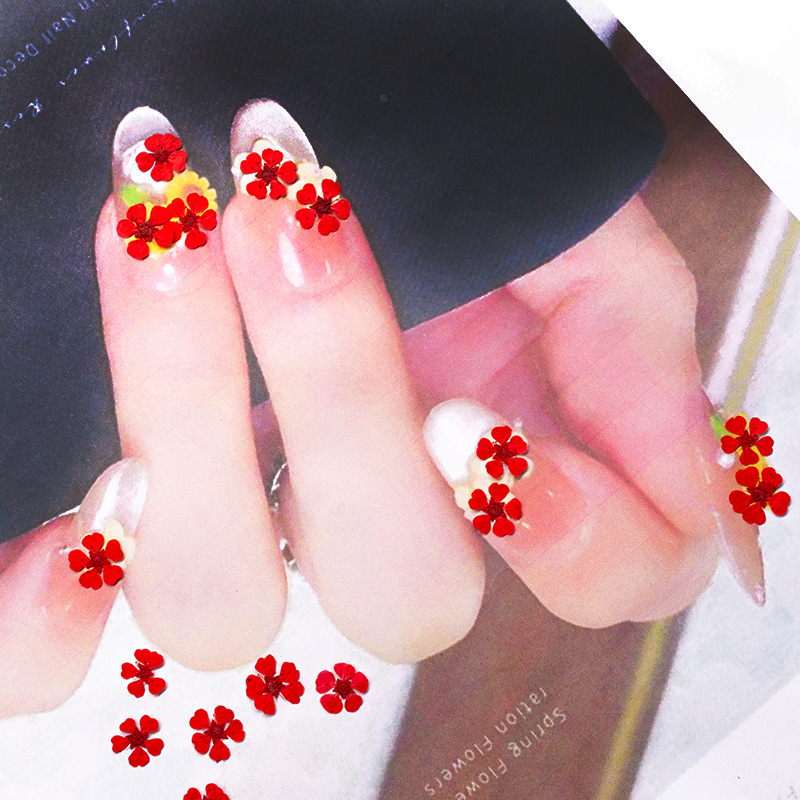 96Pcs Mini 1.5cm Natural Press - Resin Art Frame ulasan dan harga