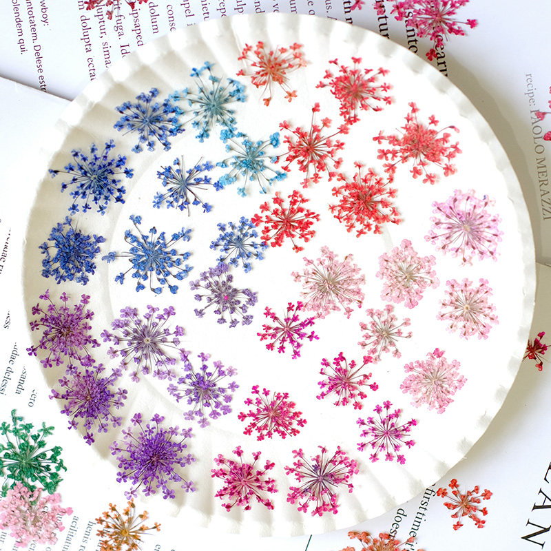 24pcs, 2-2.5cm, Nature Dyed Mi - Resin Art Frame ulasan dan harga