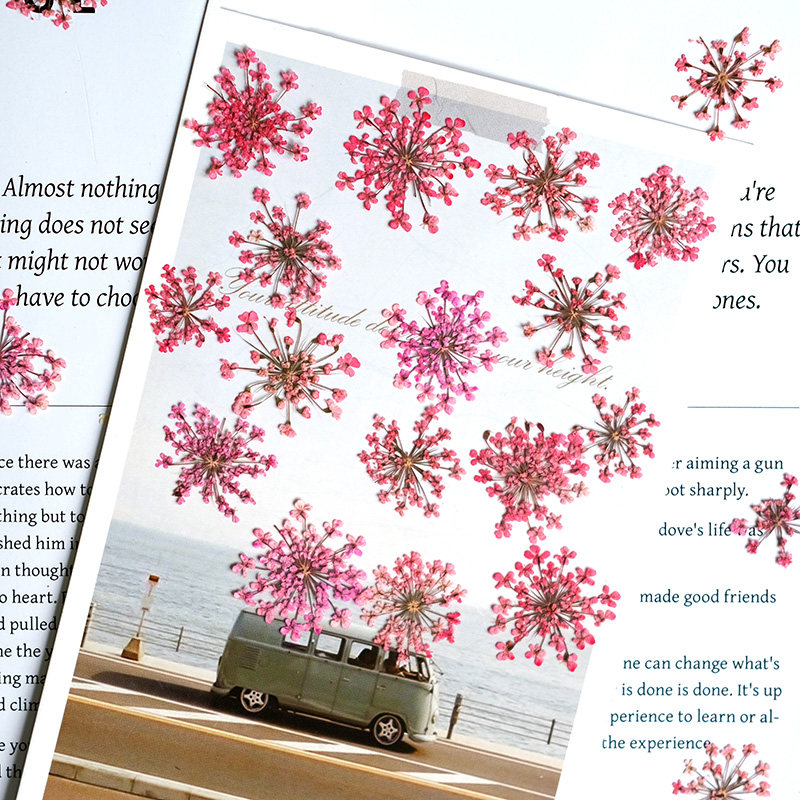24pcs, 2-2.5cm, Nature Dyed Mi - Resin Art Frame ulasan dan harga