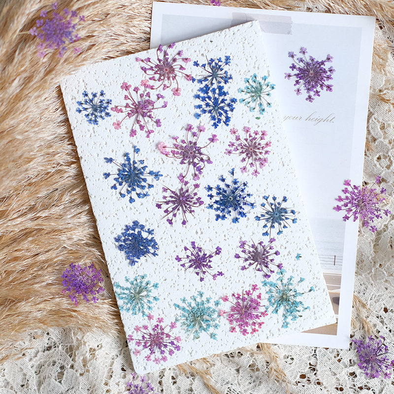 24pcs, 2-2.5cm, Nature Dyed Mi - Resin Art Frame ulasan dan harga