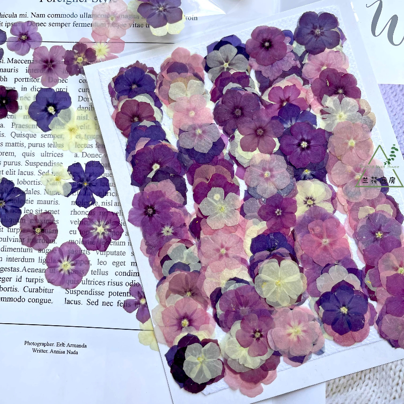 12pcs,Semi-Transparent Niche P - Resin Art Phone Case ulasan dan harga
