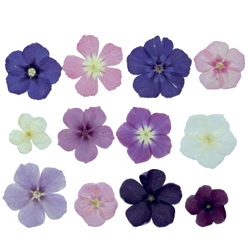 12pcs,Semi-Transparent Niche P - Resin Art Phone Case ulasan dan harga
